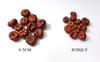 [Calabaza rojo oscuro] Decoración navideña Halloween calabaza roja pequeña flores secas fruta seca especímenes de plantas