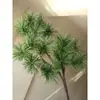 Galhos de pinho com frutos galhos de pinho falsos paisagem de pinho agulhas de pinho pinho negro galhos de cipreste pinho de boas-vindas árvore de Natal cavalinha grande pinho