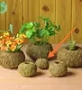 Jade Musgo Bola de Musgo Maceta de Flor de Musgo Maceta Creativa para Plantar Dendrobium Jardinería de Paisaje Micro Maceta Diversión Decoración para el Hogar