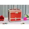 Caja de Joyas con Candado de Contraseña Gran Capacidad Estuche de Maquillaje Portátil Caja Multifuncional para Joyería de Mano Caja de Maquillaje Regalo de Princesa