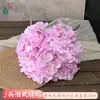 Flor de Simulación Transfronteriza 5 Cabezas Hortensia Boda Francesa Hortensia Grande Bola de Flores Decorativa Tienda Ventana Apertura Festival de Bodas Flor Artificial