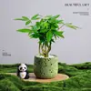 Árbol del Dinero Planta en Maceta Decoración Creativa de Planta para Escritorio Flor y Planta Verde para Oficina Adorno Hiedra Coco Rico Verde Bonsái Pequeño