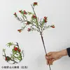 Fruta de Espinheiro-Marítimo Selvagem Artificial Arranjo de Flores Artificiais Decoração Floral Buquê de Plástico Atacado