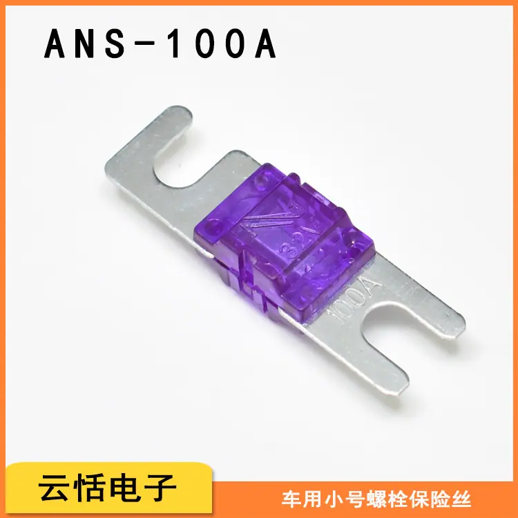 ANS100A.jpg