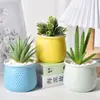 Vaso de Flor Suculenta Combinação de Cerâmica Vaso de Planta Cacto Tamanho de Polegar Suculenta Jardinagem Colmeia Planta Verde Feito à Mão Dehua