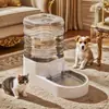 Suministros para mascotas: Dispensador de Agua Totalmente Automático para Gatos y Perros, Bebedero, Bebedero para Gatos, Dispositivo Totalmente Automático