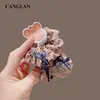 Gomas para el pelo con estampado de dibujos animados estilo coreano, Lindo juego de dos piezas de accesorios para el pelo, Modelo nuevo 2026 Gomas para coleta