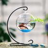 NC pendurado pendurado vidro transparente suculenta aquário vaso mini aquário peixinho dourado vidro criativo ecológico aquário