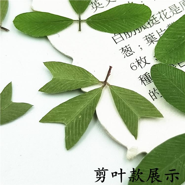 IMG20190113155713