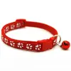 Collar Especial para Gatos y Gatitos