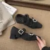 Zapatos de tacón grueso para mujer, punta cuadrada, adornados con pedrería, forrados de felpa, estilo nuevo invierno 2025, cálidos, peludos, Mary Jane para noche