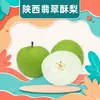 Entrega Atacadista de Pera Crocante de Jade Shaanxi 2,5 kg Crocante Nº 1 Pele Verde Fruta Grande, Crocante e Suculenta Caixa de Presente Fruta Fresca