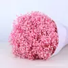 Ramo de flores secas Yongshenghua Gimonis base Yunnan cabello liso flor real decoración de boda materiales hechos a mano DIY