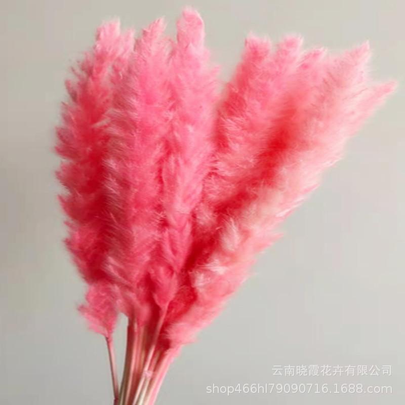 44_副本.jpg