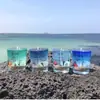Isla de Jeju Color del Mar Concha Vela Aromática con Olor a Océano Fragancia Hola Isla de Jeju Gelatina Souvenir de Viaje Regalo