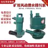 Bomba Sumergible Neumática Personalizada para Minería con Especificaciones Completas Bomba Sumergible para Aguas Residuales de Mina de Carbón Bomba Sumergible Neumática Fqw8-20