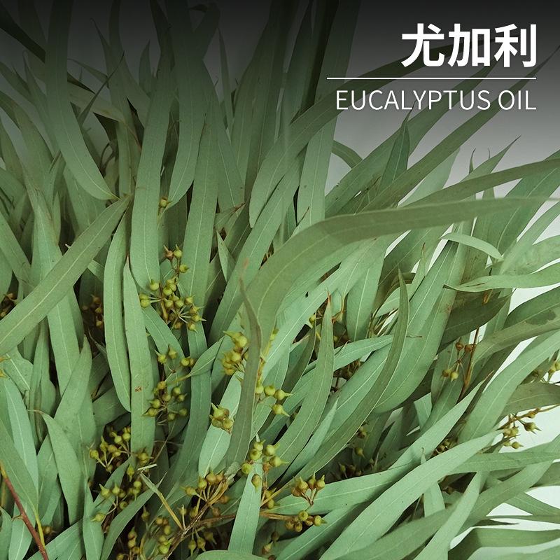 微信图片_20210630142729