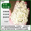 Hengxian Hengzhou Pétalas de Flor de Jasmim Flocos Bola de Neve Jasmim Flores Secas Ingrediente Comercial para Chá de Leite Saco Grande Venda por Atacado