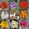 Frésia Orquídea Neve Perfumada Bulbo Conjunto para Cultivo em Solo Perene Outono e Inverno Resistente ao Frio Flores de Corte Quatro Estações Florais de Jardim de Varanda