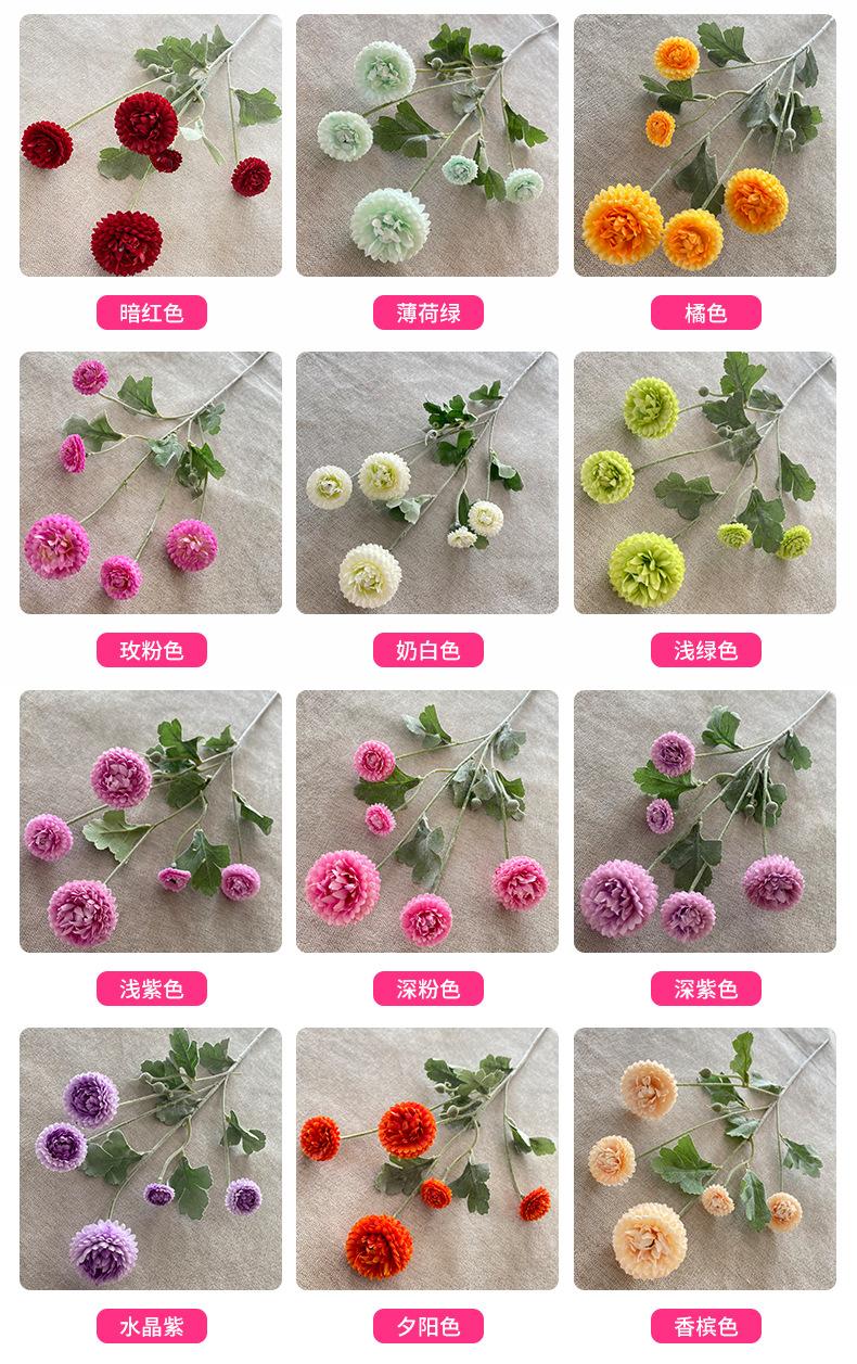 产品颜色 (1).jpg