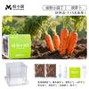 Crescimento de Plantas, Germinação, Sistema Radicular e Caixa de Observação de Veias, Brinquedos para Experimentos Científicos de Estudantes, Conjunto de Pequenas Plantas Envasadas para Plantio de Crianças