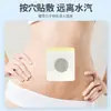 Parche Herbal Dan Shen de Xizang, Parche de Moxibustión, Parche de Aceite Esencial, Parche para el Ombligo, Parche de Moxibustión Portátil para Uso en Casa, Parche de Salud de Ajenjo, Parche de Moxibustión