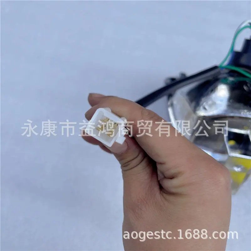 小恐龙前大灯 (3)