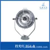 Lámpara de inundación incandescente de acero marino Shanghai Liangzhou TG1-A/B 300W Portalámparas E40 Vidrio templado con cubierta de malla
