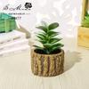 Flor Falsa Vaso de Cimento de Madeira Suculenta Pequeno Bonsai Flor Artificial Ornamento Criativo Planta Fornecimento Direto do Fabricante Vaso