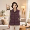 Chaleco cálido de otoño e invierno para madre con cuello alto para usar como prenda exterior, nuevo modelo 2026, chaleco de talla grande para mujer, chaleco de algodón para mujer de talla grande