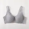Novo Sutiã Push-Up Confortável Sem Aro Respirável Sutiã Tipo Colete com Alça Larga Amostras para Venda Direta em Lote para Casa