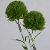 Piedra Imitación de Alta Calidad Bambú Arreglo Floral Chino para el Hogar Decoración Flores Artificiales Mobiliario Suave Sensación de Paisajismo Caucho Suave Pompones Verdes Venta al por Mayor
