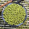 Vagem em Grandes Quantidades, Adequada para Bolos e Doces, Sopa e Mingau de Vagem Fáceis de Cozinhar, Vagem Fresca, Suporta Dropshipping, Atacado e Varejo
