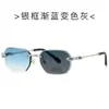 Gafas de Sol sin Marco Cabeza de Leopardo 2510 Fotocromáticas Anti-UV Lente Transparente Gafas Fotocromáticas