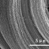 [Tubo de Bigotes de Carbono] Fibra de Nanotubo de Carbono de Alta Pureza (Hueco) para Baterías de Iones de Litio de Grado para Investigación Científica