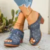 Nuevas Sandalias de Cuña Hueca de Talla Grande de Comercio Exterior para Mujer, Estilo Europeo y Americano, Punta Abierta, Suela Gruesa, Sandalias Ligeras de Playa para Uso en Exteriores