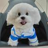 Roupas para Pet Verão Camisa Polo Listrada Fina Filhote Pequeno Schnauzer Camiseta Roupas para Cachorro Marca de Roupas Tendência