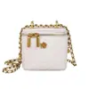 Bolso de Cadena Tejida Transfronterizo, Bolso de Mujer Europeo y Americano, Bolso Pequeño Tipo Caja Estilo Chanel con Patrón de Serpiente, Bolso Cruzado de Alta Gama, Bolso con Patrón de Pitón