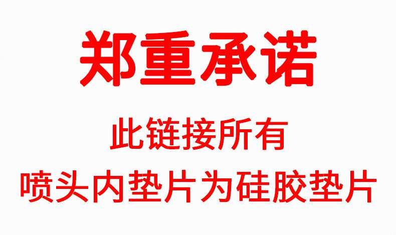 郑重承诺1
