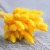 Liquidação de Fábrica Flores Secas de Yunnan Capim Rabo de Coelho Flores Reais Capim Rabo de Raposa Amazon Flores Imortais Capim Rabo de Coelho Flores Secas