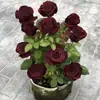 Los Rosales Viejos Florecen el Mismo Año, Produciendo Flores Grandes y Fragantes; Plantas de Rosa de Raíz Vieja, Plantas Verdes, Plantas en Maceta, Mayoreo, Variedades de Rosa