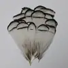 Venda Direta de Fábrica de Quase 100 Tipos de Acessórios Naturais de Penas Pequenas para Joias DIY, Acessórios de Cabeça, Broches, Chapéus, Materiais de Decoração para Artesanato