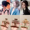 Pasador para Mujer, Pinza de Garra para la Parte Trasera de la Cabeza, Pinza de Tiburón, Pinza de Pelo de Alta Gama, Pinza de Pelo Grande, Accesorio para el Cabello, Nuevo Modelo 2023