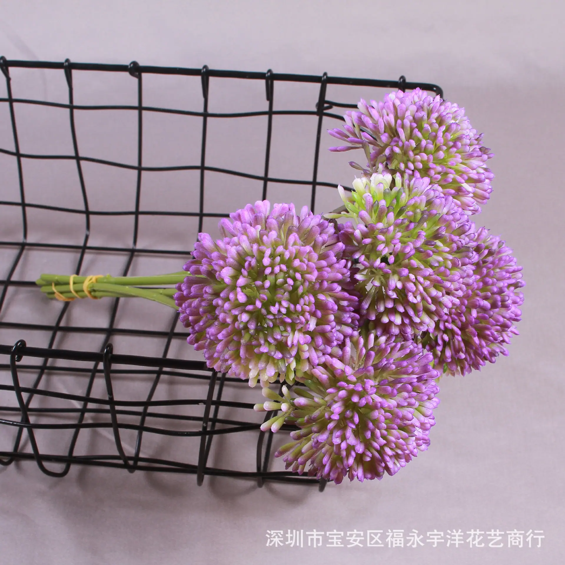 IMG_8596_副本.jpg