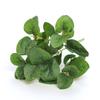 Flor artificial, flor falsa, planta verde, decoración de boda, planta de hojas, material de pared, 5 tenedores, tela de seda, hojas de eucalipto, hojas de dinero