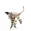 Fabricantes de brinquedos para animais de estimação atacado cabeça de reposição de pena vara para gato de estimação vara de gato auto-Hi vara de fada para gato brinquedo resistente à mordida
