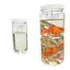 DropshippingHerramienta para pescar peces para niños, botella con púas para atrapar peces para estanques, arroyos, ríos, embalses poco profundos