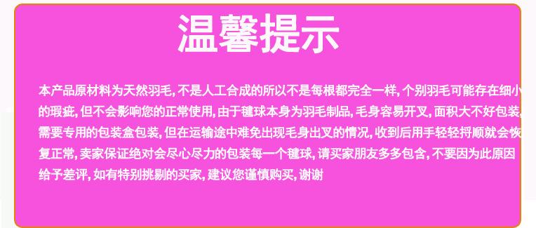 特别说明