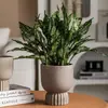 Vaso de cerâmica simples para orquídeas de argila, suculentas respiráveis, vaso criativo de grande diâmetro para plantas verdes de mesa com prato, adequado para varanda
