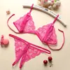 Conjunto de Lencería Sexy al por Mayor Encaje Moño Pequeño Ropa Interior Abierta para Mujer Tres Puntos C06
